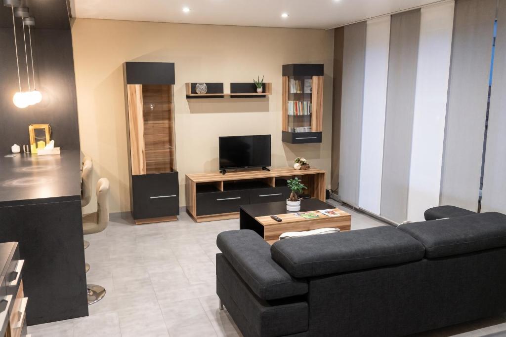 a living room with a couch and a television at Appartement confortable à Apach avec balcon in Apach