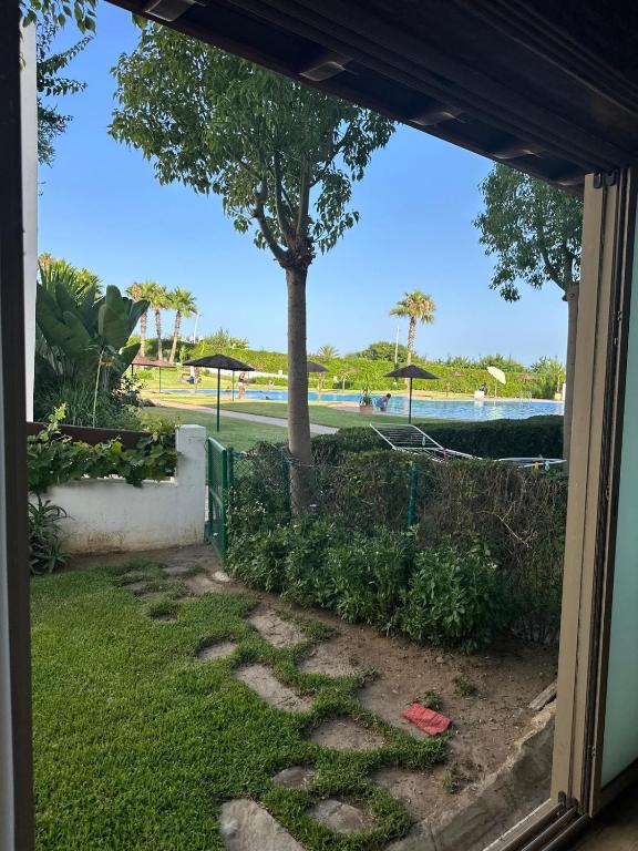 a view from a window of a yard with a tree at luxury apartament golf the beach capuchino in Cabo Negro