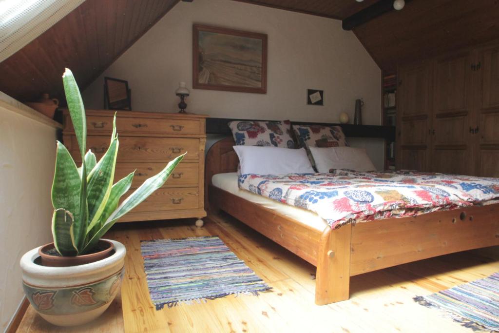 a bedroom with a bed and a potted plant at Ferienhaus Zum Herbertsche in Lemberg