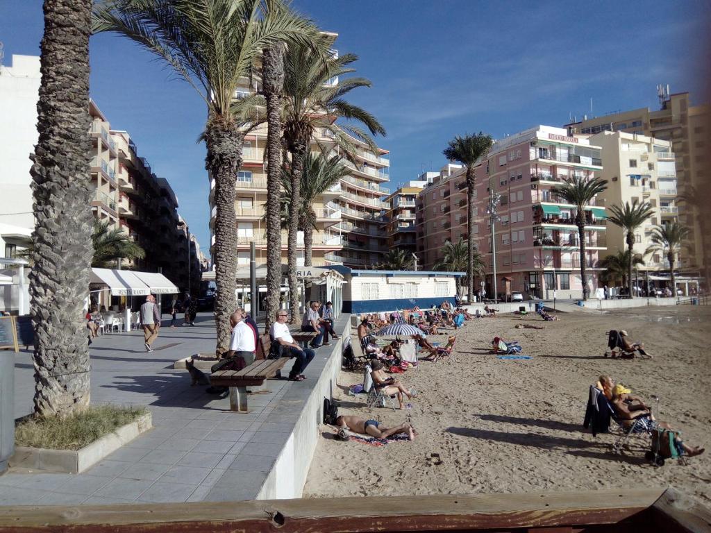 persone sedute su panchine su una spiaggia con palme di Apartment only 250m from the beach Los Locos a Torrevieja