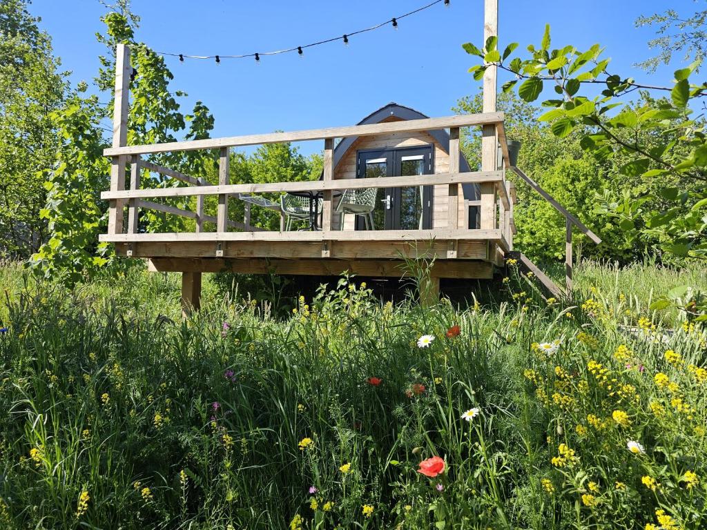 a wooden house in the middle of a field of flowers at Tiny House De Skierroek in Westergeest