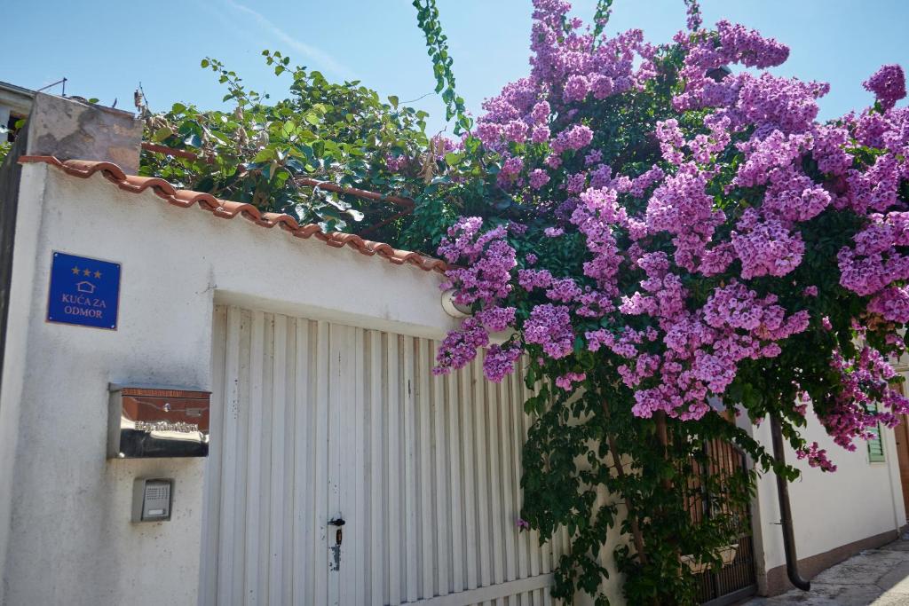Holiday House Angelina