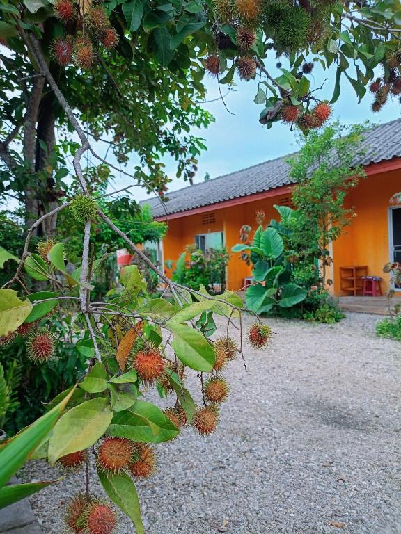 an orange house with a bunch of plants in front of it at Six Nature Resort in Chiang Rai