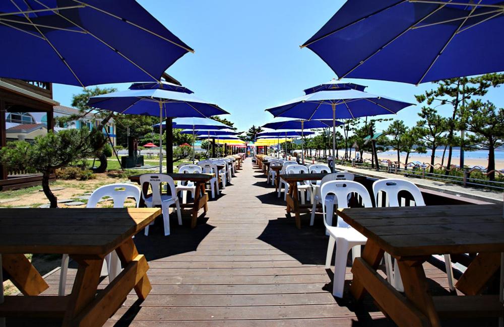 a row of tables and chairs with blue umbrellas at Hotel Mallipo in Taean