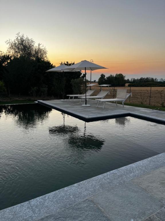 a pool of water with two benches and an umbrella at Rouge Cottage nel Roero in Sanfrè