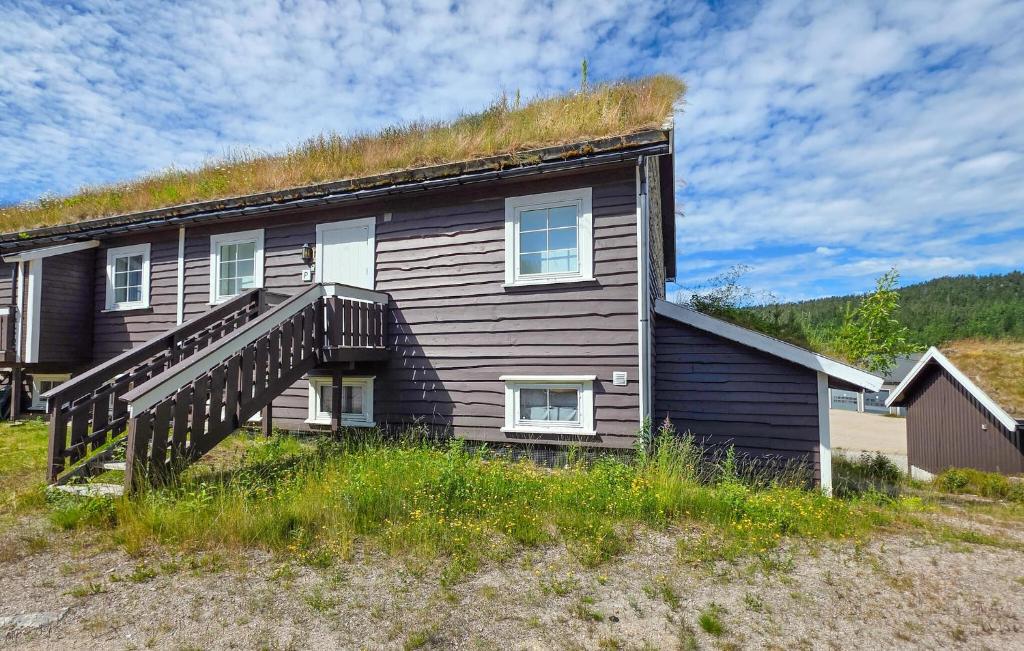 a house with a grass roof on top of it at Gorgeous Apartment In Drangedal in Drangedal