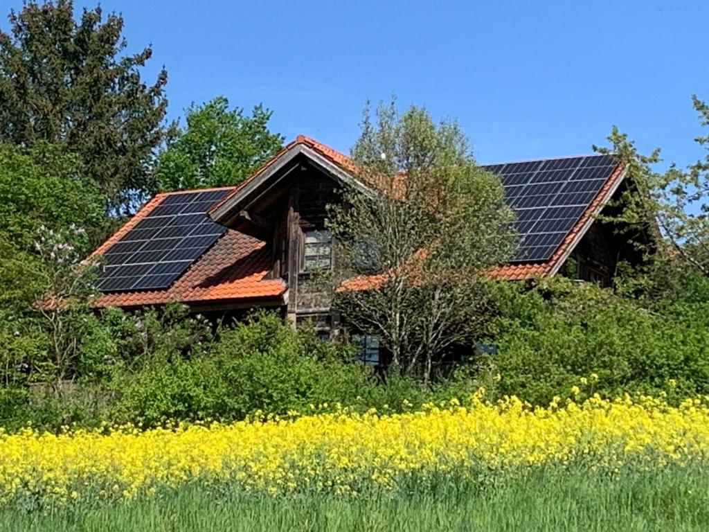 a house with solar panels on top of it at Ruhige Wohnung im Grünen Lichtenwald in Thomashardt