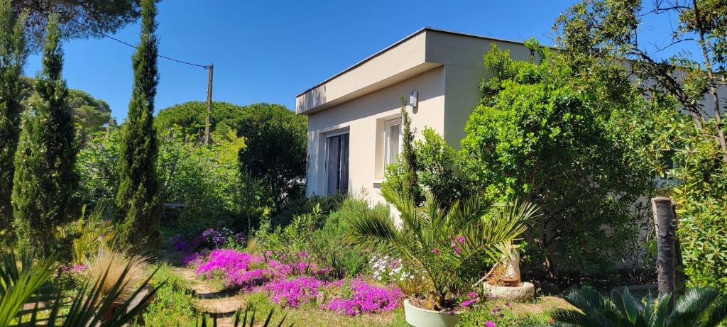 a garden with plants and flowers in front of a building at Villa SunAgde, Climatisée, proche Plage et Commerces in Le Grau-dʼAgde