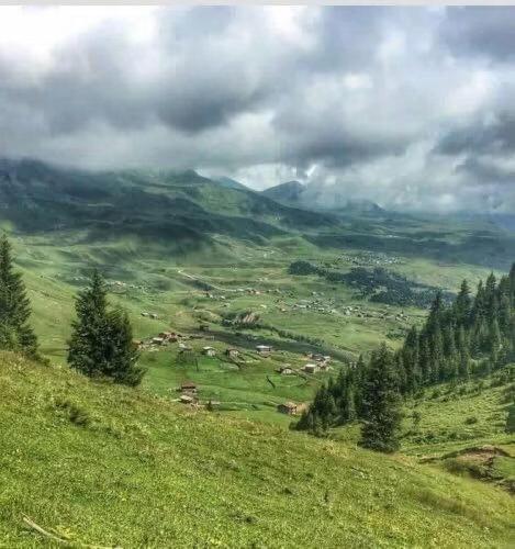 a view of a green field with trees on a hill at David traditional Oda in Shuakhevi