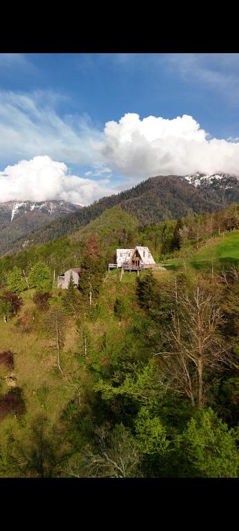 a house sitting on top of a grassy hill at GREEN GUNDAURI in K'eda