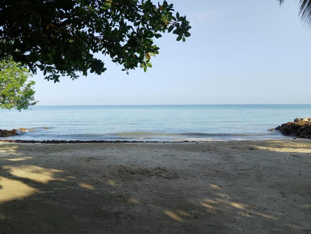 a view of the beach from under a tree at Villa faty in Coveñas