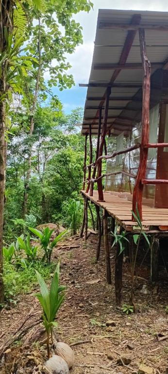 a wooden building with a roof in the woods at The Forest Cabin in Parrita