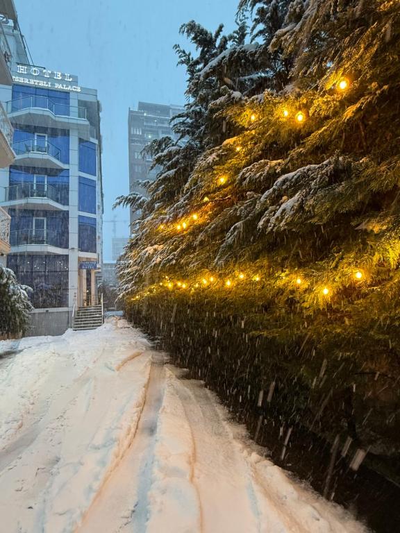 تصویر اتاق‌های Hotel Tsereteli Palace - تصویر ۲