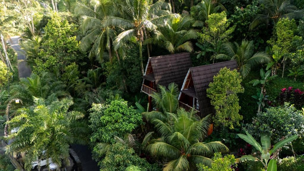 a small house in the midst of trees and plants at Medukuh Point Hill in Karangasem