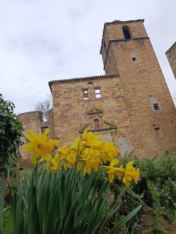 a bunch of yellow flowers in front of a building at Albergue de Ruesta in Ruesta
