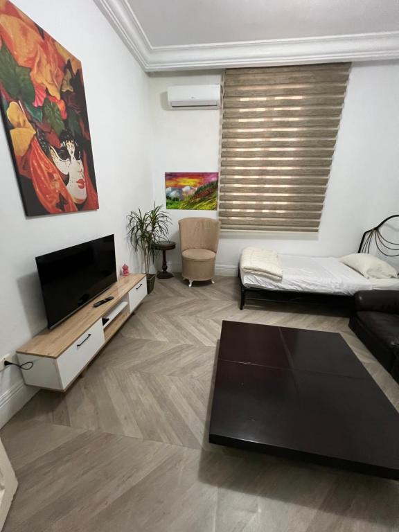 a living room with a couch and a flat screen tv at Lafayette Apartment in Tunis