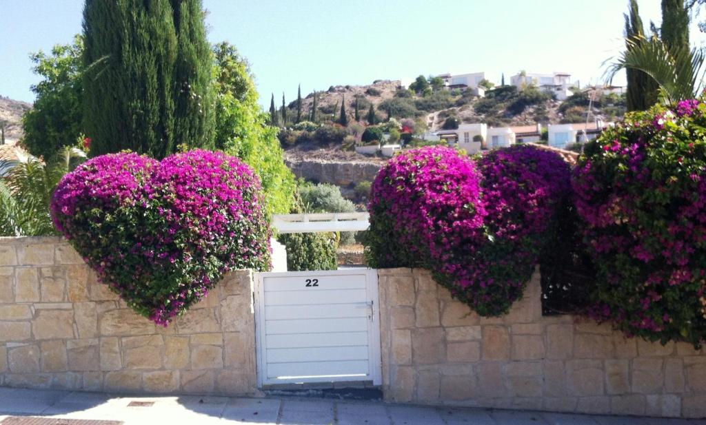 een hek met paarse bloemen en een witte deur bij Katikies 22 in Pissouri