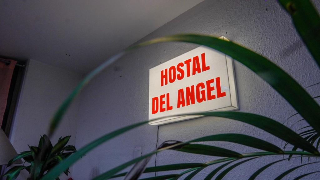 a sign on a wall that reads hospital obelapsed at Hostal del angel in Mexico City
