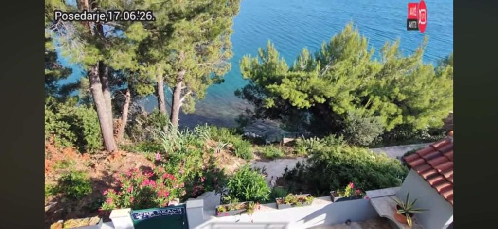a view of a garden with trees and the water at Villa Aki in Posedarje