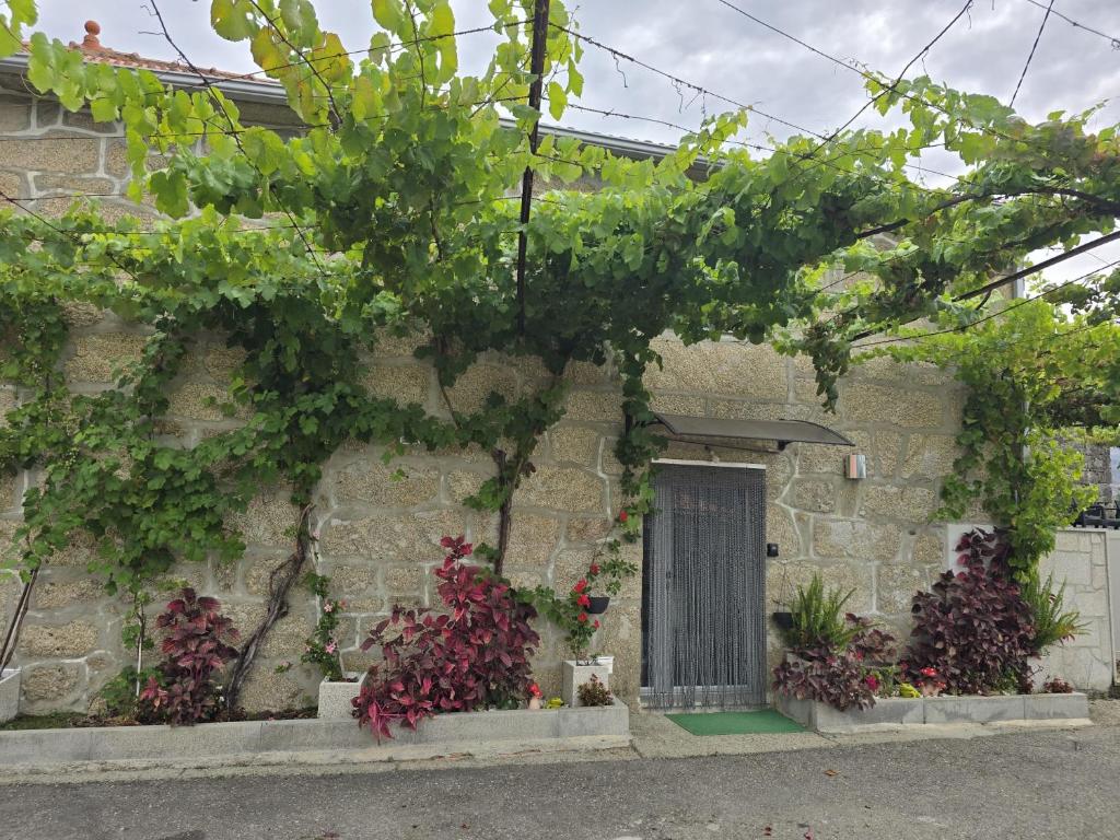 a stone building with a door and some plants at Casa Maria da Eira in Arcos de Valdevez