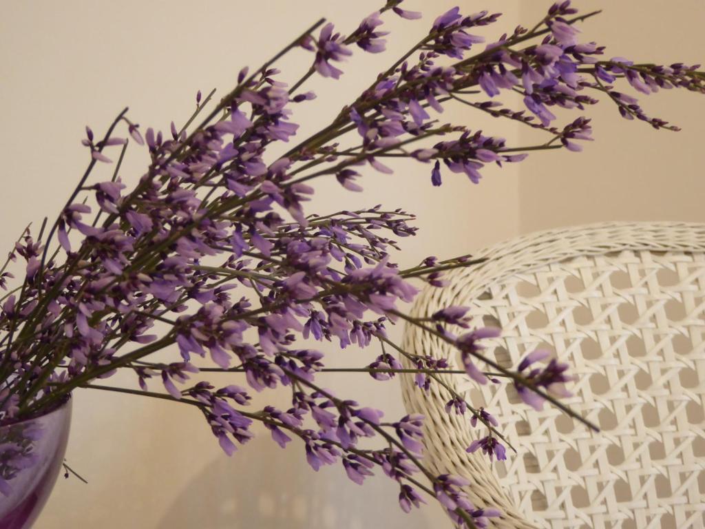 B&b Vista sul Canal Grande - 17