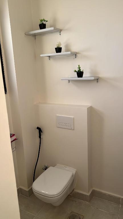 a bathroom with a toilet and shelves with plants at Zahra Elegant Studio in Sīdī ‘Abd ar Raḩmān