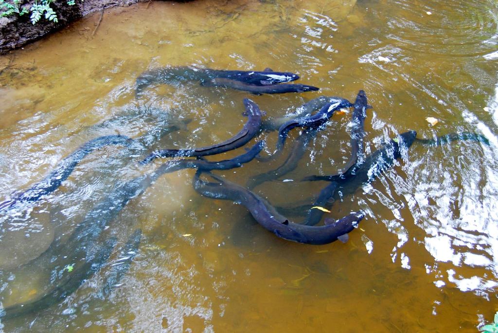 Apostles View Motel - Resim 13