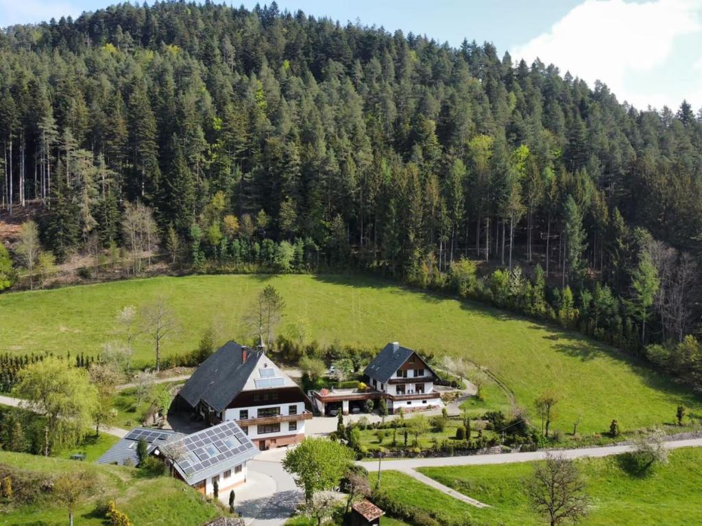 an aerial view of a house in a green field at Obergießhof Waldbauernhof in Hornberg