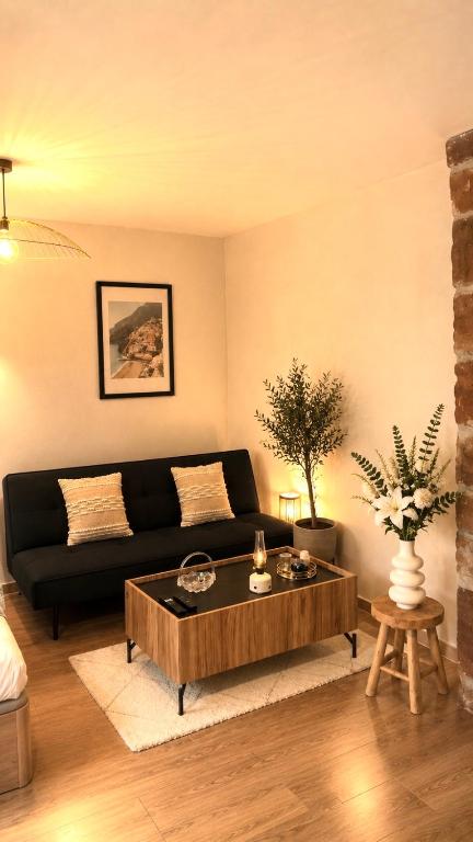 a living room with a black couch and a coffee table at Large studio in Obernai in Obernai