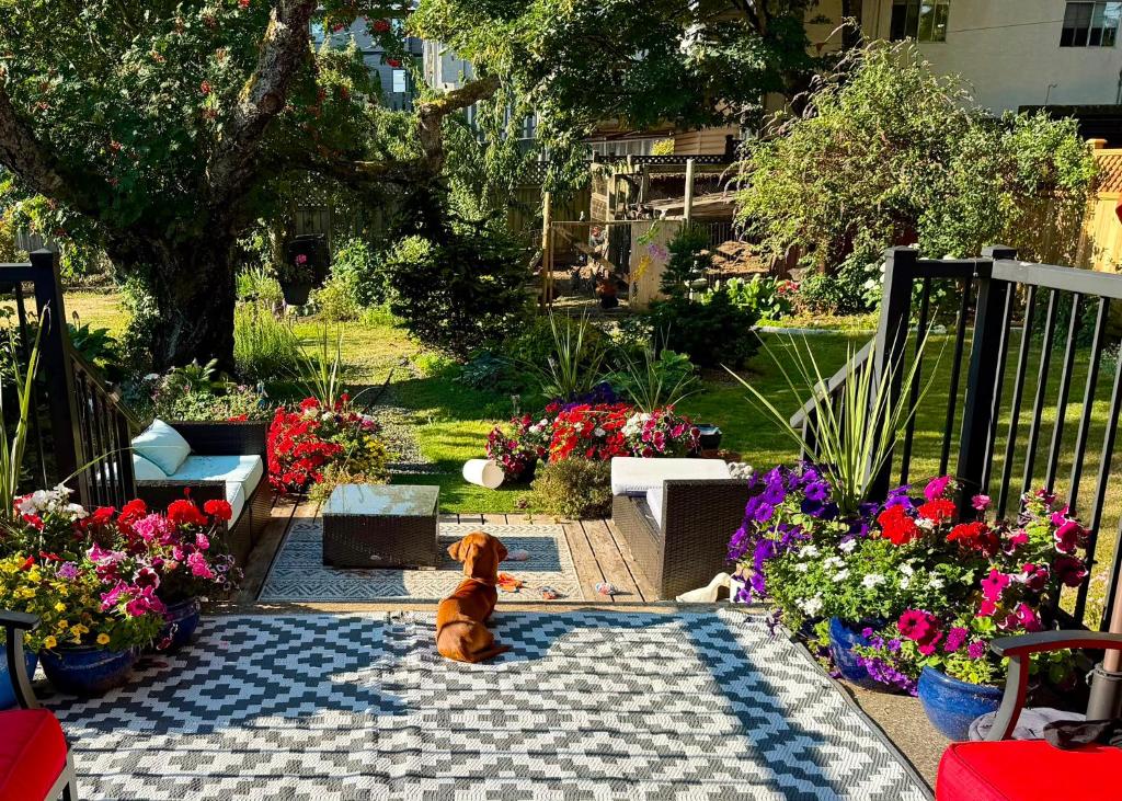 a teddy bear sitting on a rug in a garden at Campbell Cottage B&B in Nanaimo