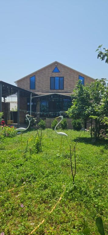 a building with a grass field in front of a building at Village in Oğuz