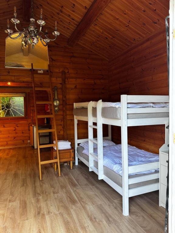 a bedroom with two bunk beds in a cabin at Seesen Private Lodge in Seesen