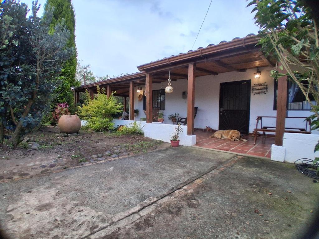 a house with a cat laying on the front porch at Fonte di vita in Duitama