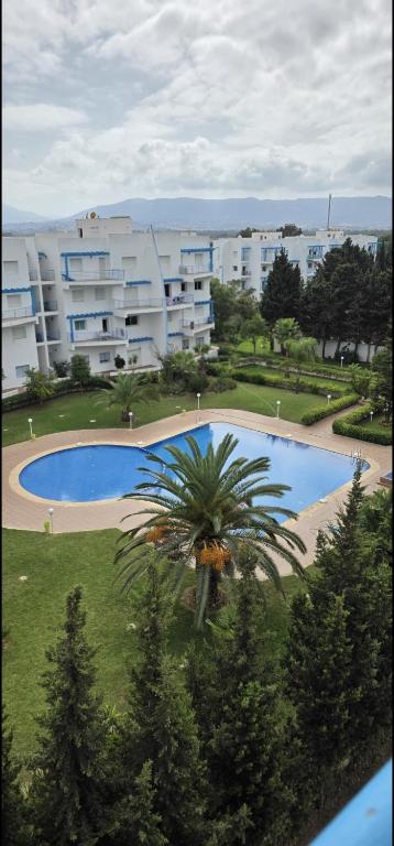a palm tree in front of a large building at Peaceful Home in Cabo Negro