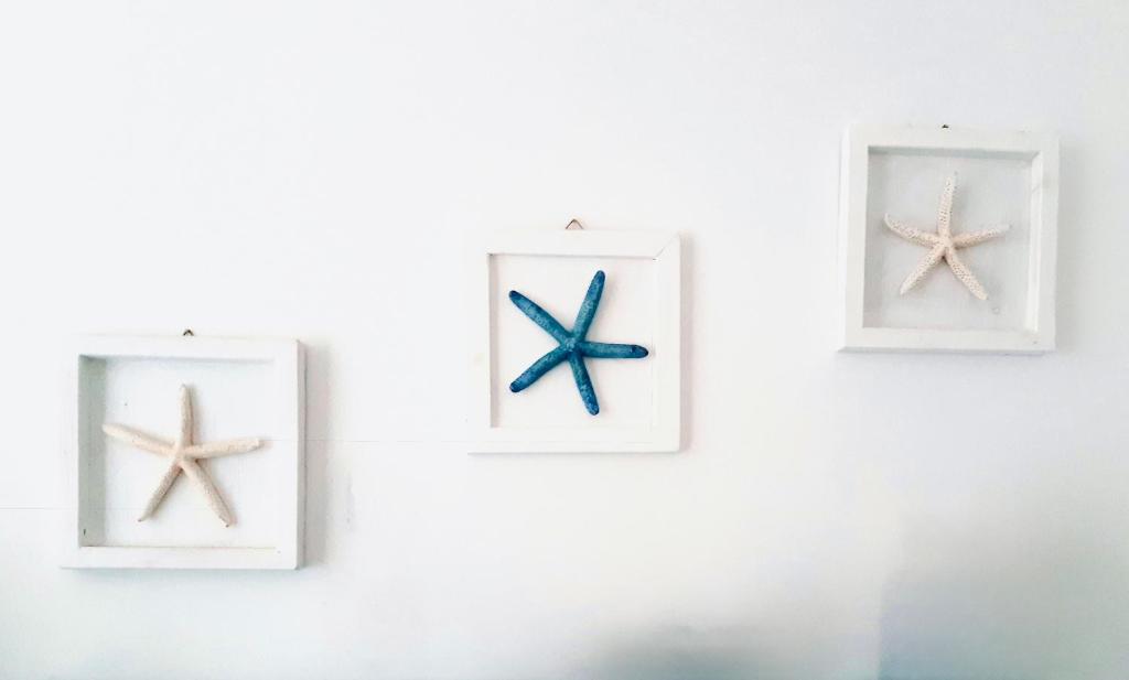 three framed pictures of starfish on a wall at Stelle Marine in Tropea