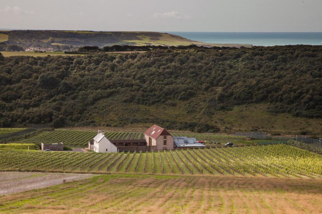 a farm in the middle of a field of vines at Flint Barns, Rathfinny Wine Estate in Alfriston