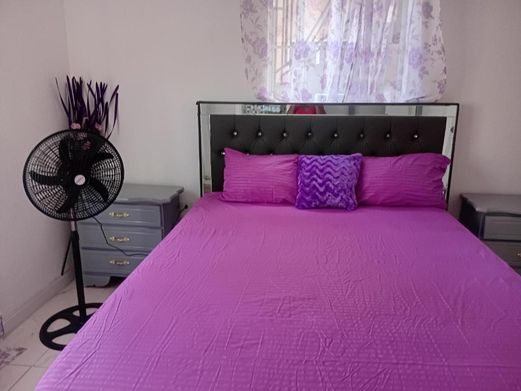a bedroom with a pink bed with purple pillows and a fan at Cozy Room with fast Internet & Netflix in Whitehall