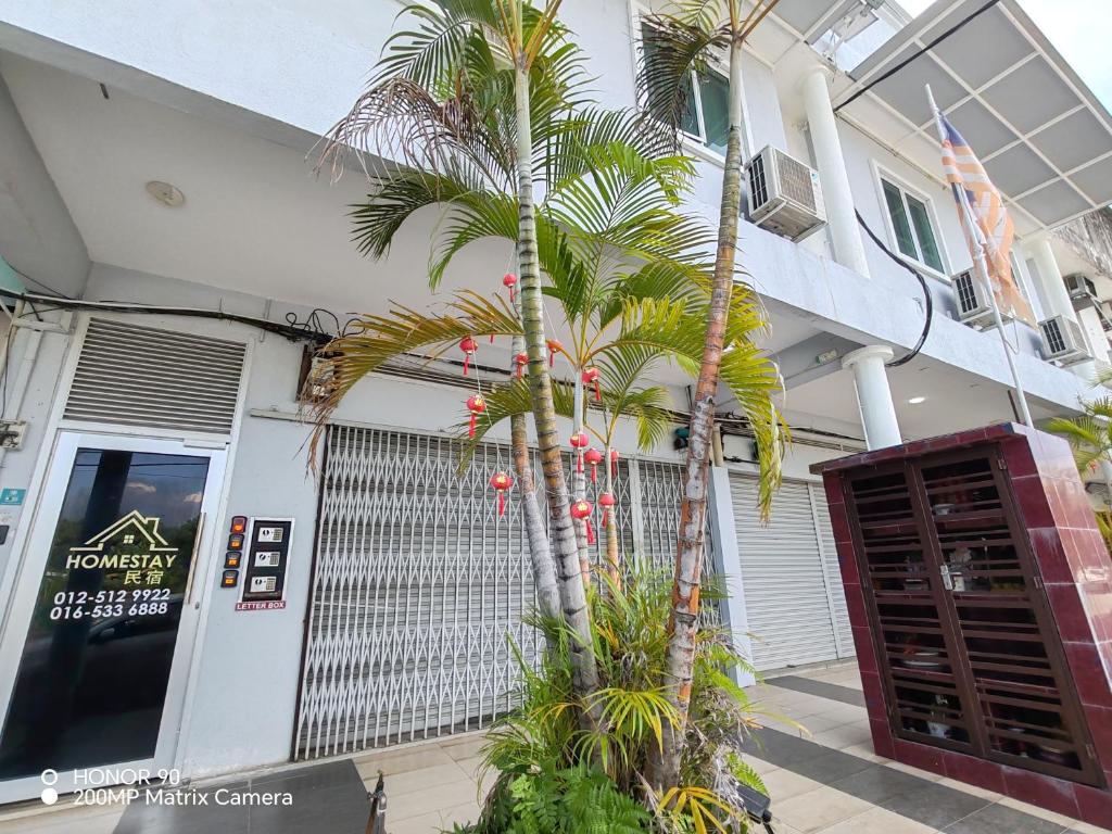 a palm tree in front of a building at Arkid 10 Guesthouse in Ipoh