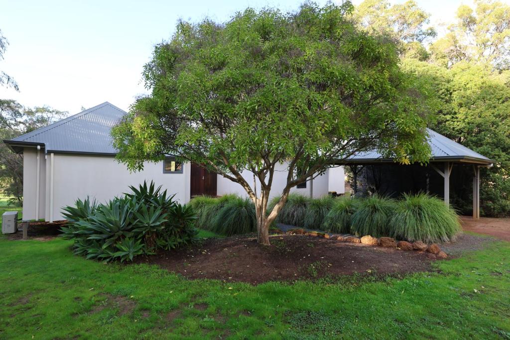 a tree in a yard in front of a house at The Siding Yallingup in Yallingup