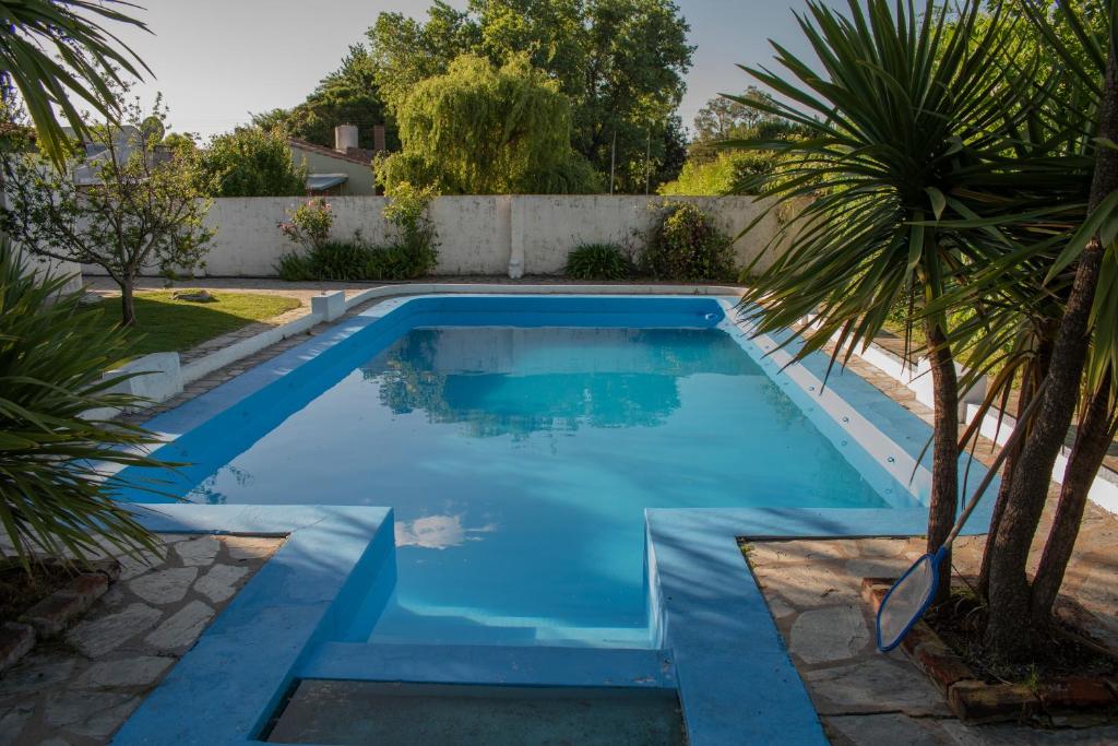 a blue swimming pool with a palm tree in a yard at Quinta del Pinar in Azul