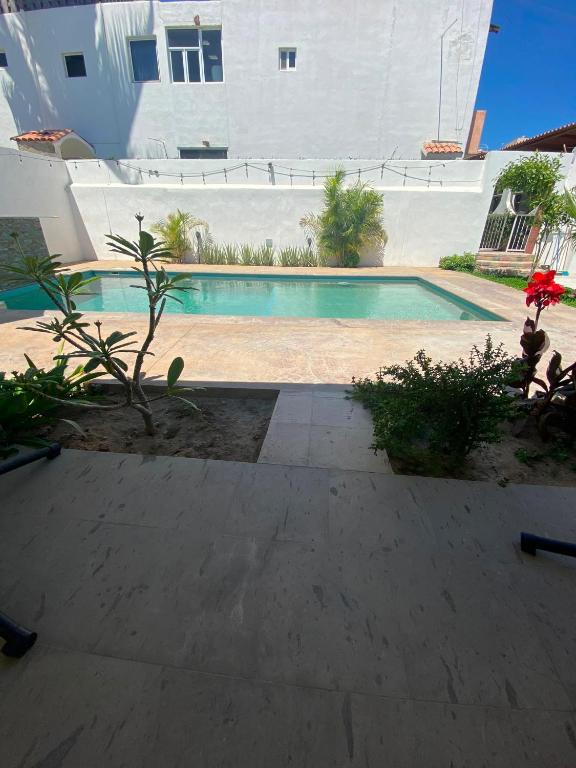 ein Schwimmbad vor einem Gebäude in der Unterkunft Bellacozenza in Cabo San Lucas