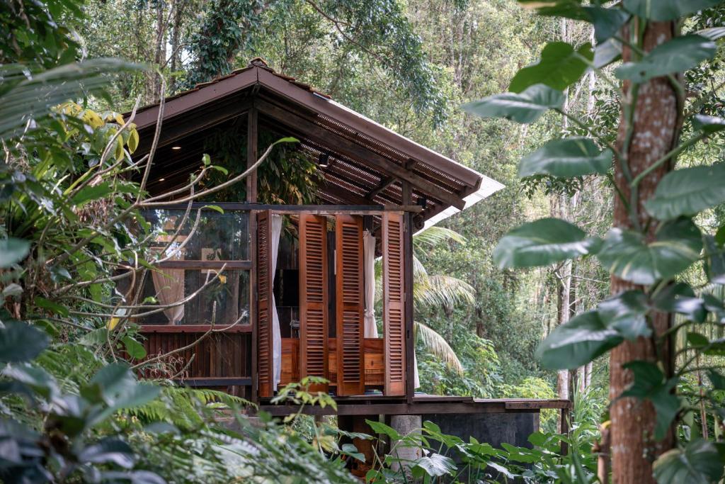 a tree house in the middle of a forest at Folky House Sidemen in Silebeng