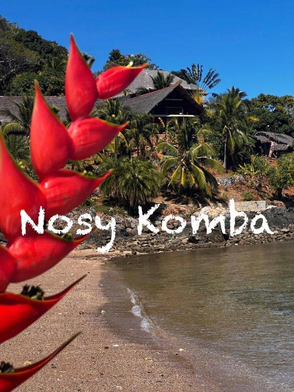 a red flower on a beach with the word mossey kaho at Guest House Antsakoa in Nosy Komba