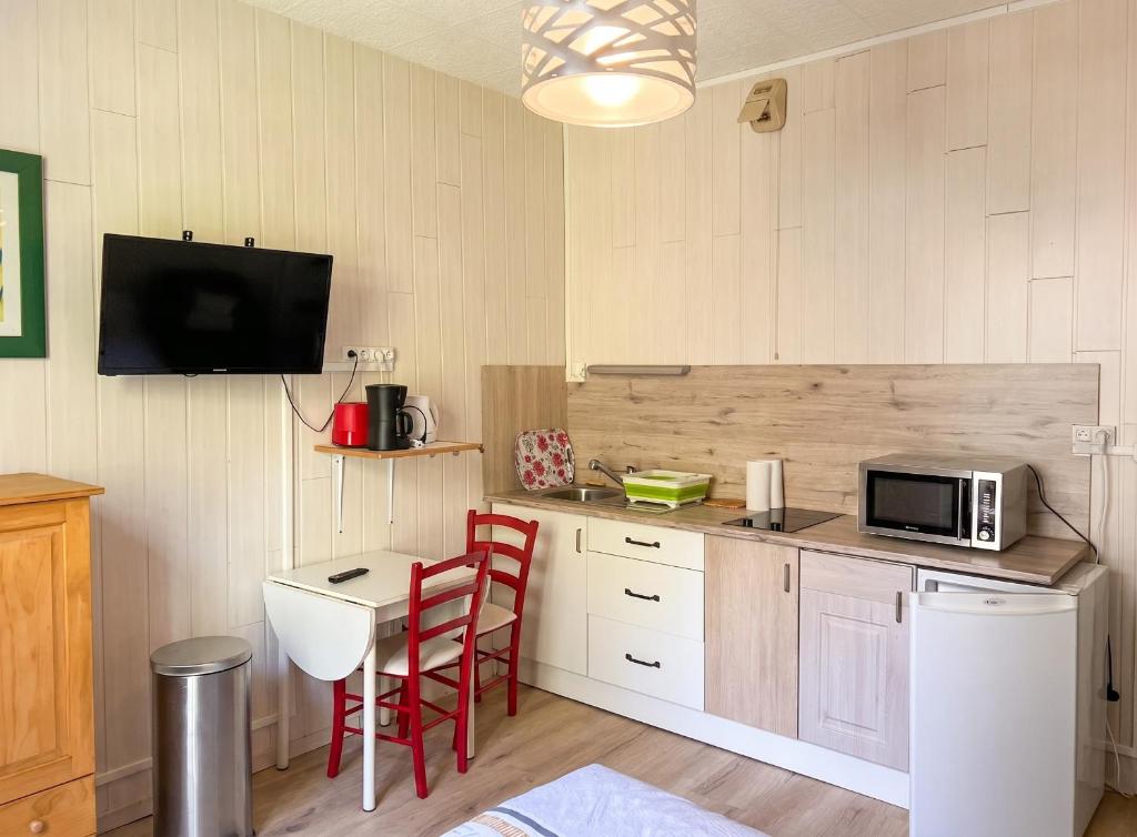 a kitchen with a counter with a microwave and a table at Studio moderne à Néris-les-Bains de 17 m² in Néris-les-Bains
