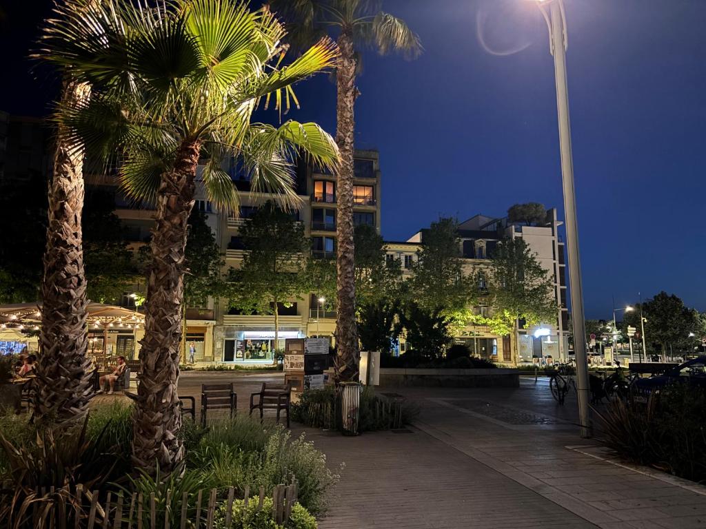 a street with palm trees in front of a building at Le Grand Briand - Champ de Mars in Valence
