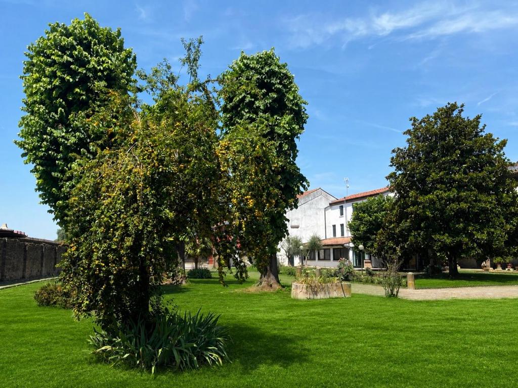 two trees in a field with a house in the background at Ca' San Valentino in Pontelongo