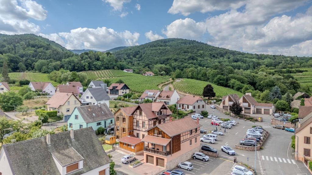 PINOT GRIS - Charmant studio au cœur du vignoble - parking gratuit – photo 28