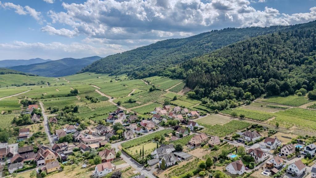 PINOT GRIS - Charmant studio au cœur du vignoble - parking gratuit – photo 30