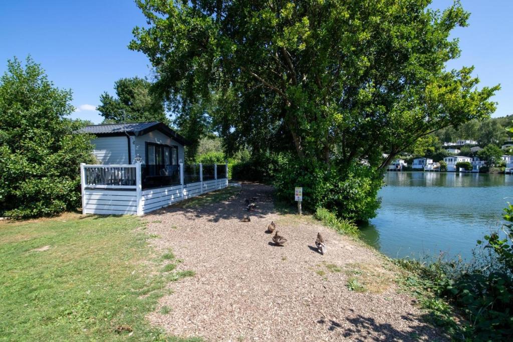 a group of birds standing on the shore of a lake at Valley 127A - Coghurst Hall in Westfield