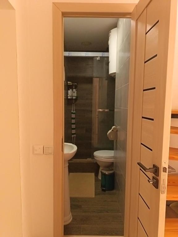 a bathroom with a toilet and a sink at Nanik Hostel in Khorog